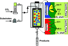 Graphical abstract: Long term continuous chemoenzymatic dynamic kinetic resolution of rac-1-phenylethanol using ionic liquids and supercritical carbon dioxide