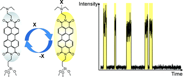 Graphical abstract: Towards direct monitoring of discrete events in a catalytic cycle at the single molecule level