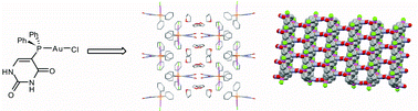 Graphical abstract: Self-assembly of a hydrogen bonded framework from a gold phosphine complex with a pendant uracil group