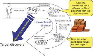 Graphical abstract: Transfection microarray™ and the applications