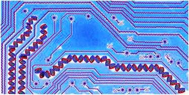 Graphical abstract: Solving the fully-connected 15-city TSP using probabilistic DNA computing