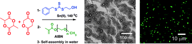 Graphical abstract: One-pot controlled synthesis of biodegradable and biocompatible co-polymer micelles