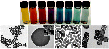 Graphical abstract: Gold nanostructures: a class of multifunctional materials for biomedical applications