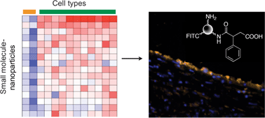 Graphical abstract: Unbiased discovery of in vivo imaging probes through in vitro profiling of nanoparticle libraries