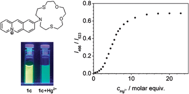 Graphical abstract: Selective ratiometric detection of mercury(ii) ions in water with an acridizinium-based fluorescent probe