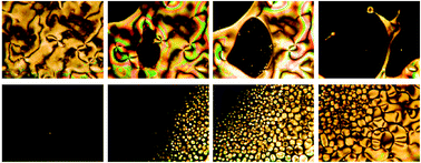 Graphical abstract: Nematic-to-isotropic photo-induced phase transition in azobenzene-doped low-molar liquid crystals