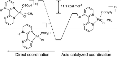 Graphical abstract: C–H activation in strongly acidic media. The co-catalytic effect of the reaction medium