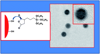 Graphical abstract: Magnetic nanoparticles with functional silanes: evolution of well-defined shells from anhydride containing silane