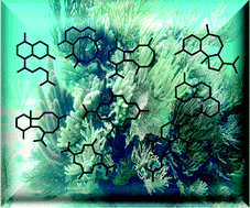 Graphical abstract: Diterpenes from gorgonian corals