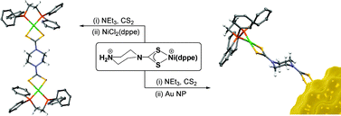 Graphical abstract: Multimetallic arrays: Symmetrical bi-, tri- and tetrametallic complexes based on the group 10 metals and the functionalisation of gold nanoparticles with nickel-phosphine surface units