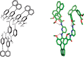 Graphical abstract: Novel foldamer structural architecture from cofacial aromatic building blocks