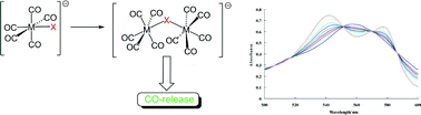 Graphical abstract: Diversity and design of metal-based carbon monoxide-releasing molecules (CO-RMs) in aqueous systems: revealing the essential trends