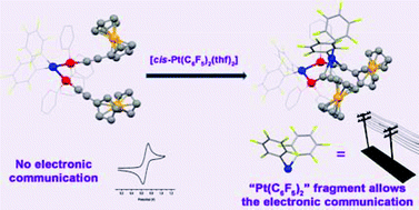 Graphical abstract: Platinum complexes having redox-active PPh2C [[triple bond, length as m-dash]] CFc and/or C [[triple bond, length as m-dash]] CFc as terminal or bridging ligands