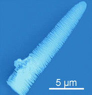 Graphical abstract: Formation of PANI tower-shaped hierarchical nanostructures by a limited hydrothermal reaction