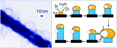 Graphical abstract: Synthesis and characterization of indium oxidenanobubbles with ultrathin single crystal shells