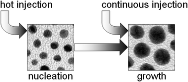 Graphical abstract: Investigation of the nucleation and growth dynamics of FePt nanoparticles prepared via a high-temperature synthesis route employing PtCl2 as platinum precursor