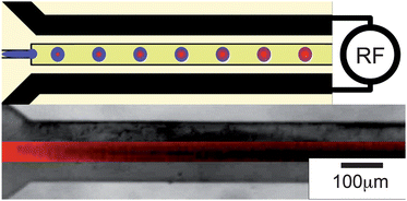 Graphical abstract: Microwave dielectric heating of drops in microfluidic devices