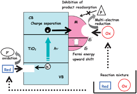 Graphical abstract: Rational design and applications of highly efficient reaction systems photocatalyzed by noble metal nanoparticle-loaded titanium(iv) dioxide