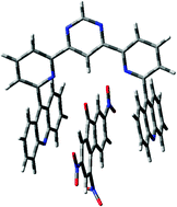 Graphical abstract: Large two-photon absorption cross section: molecular tweezer as a new promising class of compounds for nonlinear optics