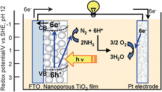 Graphical abstract: Wide range ammonia concentration analyzer utilizing a new principle of photoelectrochemical reaction at a nanoporous TiO2 photoanode