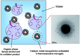 Graphical abstract: Thermosensitive core-shell microgel as a “nanoreactor” for catalytic active metal nanoparticles