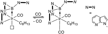 Graphical abstract: A new family of metallaboratrane complexes based on 7-azaindole: B–H activation mediated by carbon monoxide