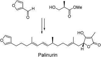 Graphical abstract: The first enantioselective synthesis of palinurin