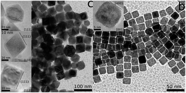 Graphical abstract: Shape control of iron oxide nanoparticles