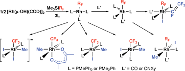 Graphical abstract: Synthesis of rhodium(i) and rhodium(iii) perfluoroalkyl complexes from [Rh(μ-OH)(COD)]2