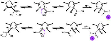 Graphical abstract: Configuration determination of flexible tetracarboxylate ligands in two supramolecular structures