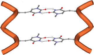 Graphical abstract: Conformationally controlled, thymine-based α-nucleopeptides