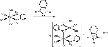 Graphical abstract: Manganese complexes of phosphino-μ-phosphido ligands