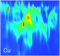 Graphical abstract: Metal imaging in non-denaturating 2D electrophoresis gels by laser ablation inductively coupled plasma mass spectrometry (LA-ICP-MS) for the detection of metalloproteins