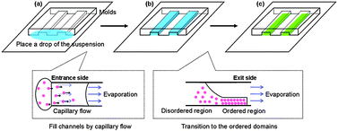 Graphical abstract: Facile patterning of assembled silica nanoparticles with a closely packed arrangement through guided growth