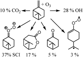 Graphical abstract: Theoretical study of the gas-phase ozonolysis of β-pinene (C10H16)