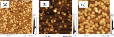 Graphical abstract: Metal atom behavior on photochromic diarylethene surfaces—deposition rate dependence of selective Mg deposition