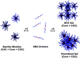 Graphical abstract: Temperature-induced ordering and gelation of star micelles based on ABA triblocks synthesized via aqueous RAFT polymerization