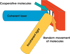 Graphical abstract: Cooperative interaction in azopolymers upon irradiation