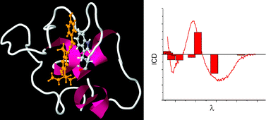 Graphical abstract: Licochalcone A bound to bovine serum albumin: a spectroscopic, photophysical and structural study