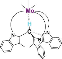 Graphical abstract: Intramolecular apical Metal–H–Csp3 interaction in molybdenum and silver complexes