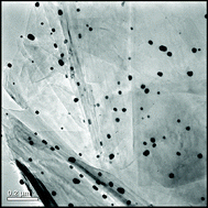 Graphical abstract: Solvent-free selective epoxidation of cyclooctene using supported gold catalysts