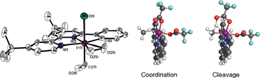 Graphical abstract: Experimental realization of catalytic CH4 hydroxylation predicted for an iridium NNC pincer complex, demonstrating thermal, protic, and oxidant stability