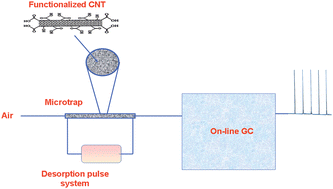 Graphical abstract: Modifying the sorption properties of multi-walled carbon nanotubesvia covalent functionalization