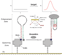 Graphical abstract: Surface plasmon-coupled directional emission based on a conformational-switching signaling aptamer