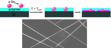 Graphical abstract: In-plane growth and directional control of Senanowires in polymerthin films