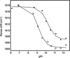 Graphical abstract: UV resonance Raman spectroscopy of TTR(105–115): determination of the pKa of tyrosine