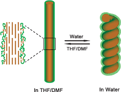 Graphical abstract: Super-helices self-assembled from a binary system of amphiphilic polypeptide block copolymers and polypeptide homopolymers