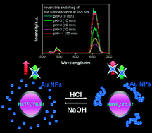 Graphical abstract: Reversible luminescence switching of NaYF4:Yb,Er nanoparticles with controlled assembly of gold nanoparticles