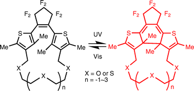 Graphical abstract: Synthesis and photochromic properties of thiophenophan-1-enes containing a polyether bridge