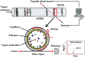 Graphical abstract: Optofluidic ring resonator sensors for rapid DNT vapor detection